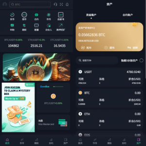 多语言交易所系统/合约/期权/秒合约/插针控制/申购 页面截图