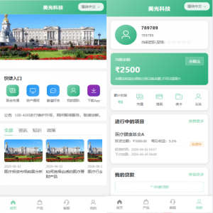 新版海外投资理财系统/医疗项目基金投资/贷款/余额宝 页面截图