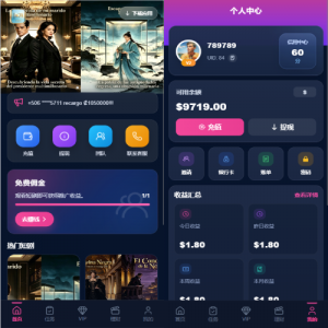 多语言视频任务系统/VIP任务/视频返利/余额宝/前端VUE 页面截图