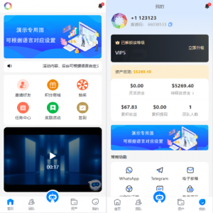 海外虚拟币量化交易系统/多语言量化/USDT自动充值 页面截图