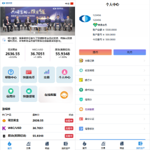 海外微交易系统/虚拟币黄金期货微盘/多语言秒合约微盘 页面截图