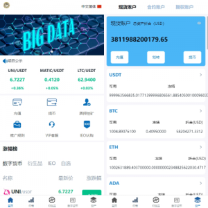 新版多语言交易所系统/虚拟币外汇交易/期权合约交易 页面截图